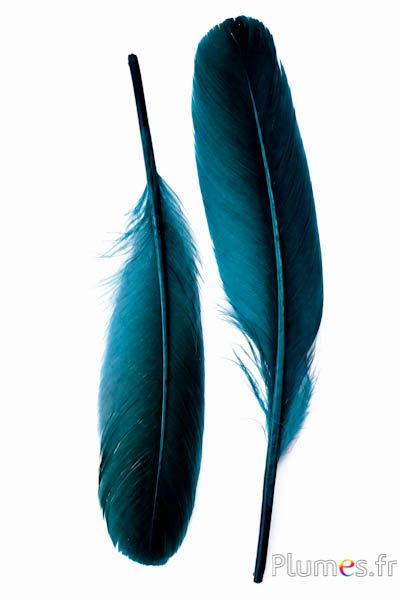 Anatra - 18-20 cm, sinistra e destra - petrolio-nero
